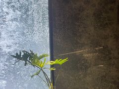 -陈熹公民族美食文化餐厅(中华广场店)