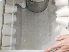 -洪馨椰子