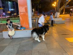 -八一好吃街·高品美食广场