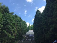 -井冈山革命烈士陵园