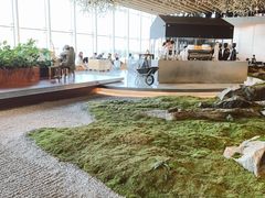 -Seesaw Coffee(朝阳大悦城店)