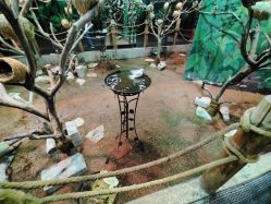 -Zoolung Zoolung动物主题公园(海信广场店)