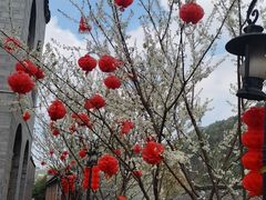 -楠柏弯休闲山庄(梨花溪店)