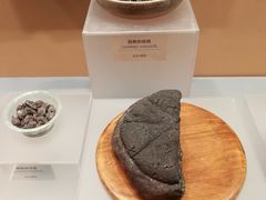 -盘龙城国家考古遗址公园