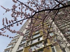 -新荟城(望京店)