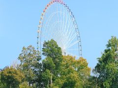 -丁香湖公园