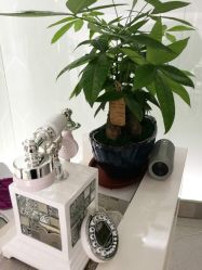 -薇漫里纹眉半永久连锁品牌