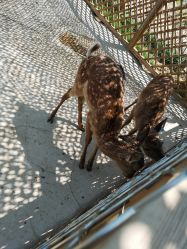 -萌宠亲子动物乐园(槐房万达店)