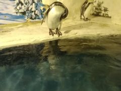 -左海海底世界
