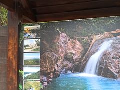 -东莞市大岭山森林公园