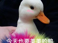 -汤乐汇•足道•SPA生活馆