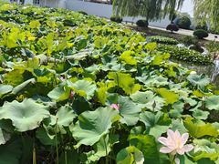 -费孝通江村纪念馆