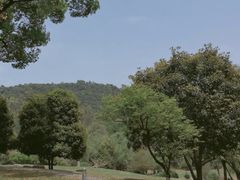-浙江大学(玉泉校区)