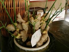 -小仙居·农家宴烤羊· 农庄