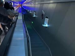 -白鹤梁水下博物馆