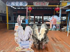 -蓝湾碧波·老字号·疍家非遗海上餐厅