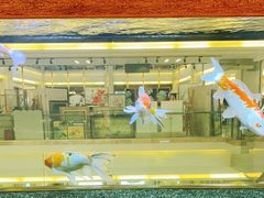 -红星美凯龙(东北全球家居1号店)
