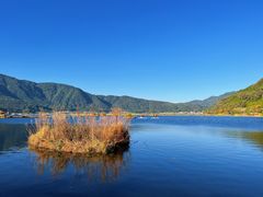 -腾冲北海湿地