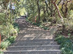 -杭州半山国家森林公园