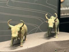 -广西壮族自治区博物馆