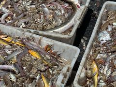 -荣记火锅(青悦城店)