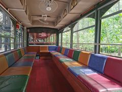 -合肥滨湖国家森林公园