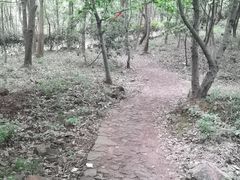 -雨花胜境