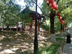 -大槐树寻根祭祖园