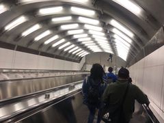 -Lady M Cake Boutique(麦迪逊大道店)