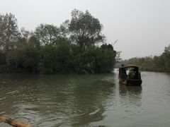 -溱湖国家湿地公园