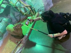 -Zoolung Zoolung动物主题公园(海信广场店)