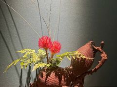 -觀芷隐轩