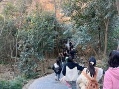 -紫金山山顶公园
