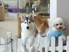 -怪兽屋·羊驼·猫咖·狗咖(俊华广场店)