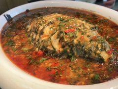 -鲜塘宴·千岛湖大鲫鱼(南湖店)