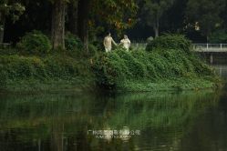 -雨墨婚纱摄影工作室