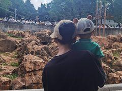 -昆明动物园