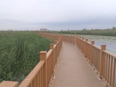 -白洋淀风景区