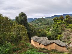 -杨家堂村