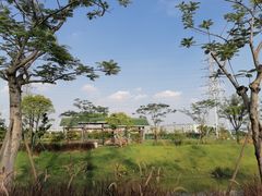 -王借岗森林公园