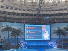 -海合安成都极地海洋公园
