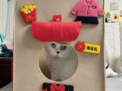 -麦当劳(展览路店)