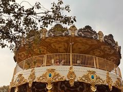 -南湖梦幻岛