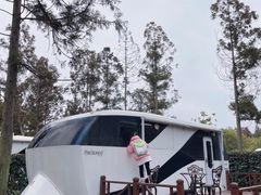 -东平国家森林公园