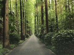 -上海怡沁园度假酒店