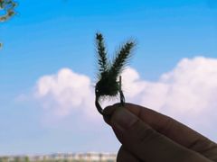 -汉长安城未央宫国家考古遗址公园