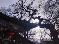 -恭王府博物馆
