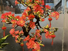 -双季花艺园艺市场(浦东店)