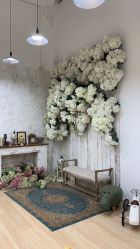 点击看大图 -宝贝家族国际影像馆(东郊记忆店)