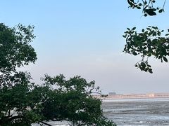 -宝安西湾红树林湿地公园